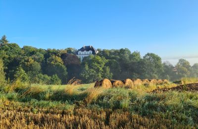 Kasteel te koop Piszkowice, województwo dolnośląskie:  