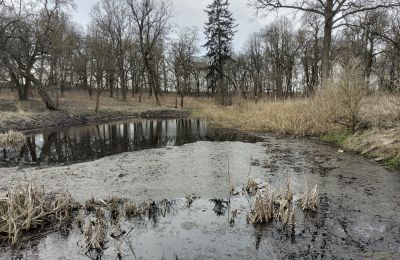 Herrenhaus/Gutshaus kaufen Bolkowice, Westpommern, Teich/See