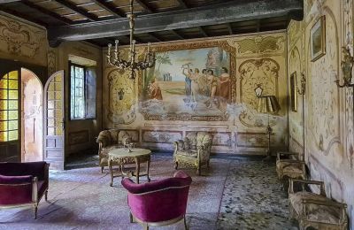 Slott til salgs Cavallirio, Piemonte:  Balsal