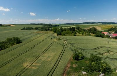 Historisk villa til salg Strzelin, Kazanów 21, województwo dolnośląskie, Billede 33/35