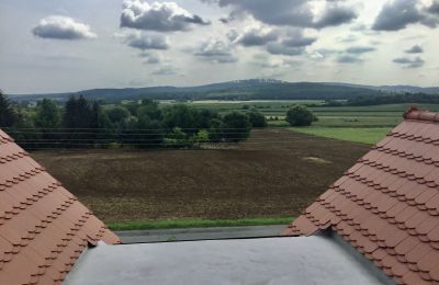 Historisk villa til salg Strzelin, Kazanów 21, województwo dolnośląskie, Billede 29/35