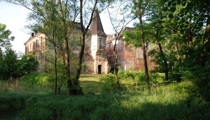 Schloss Komorowice 5