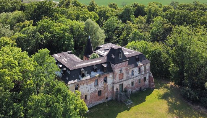Schloss Komorowice 1