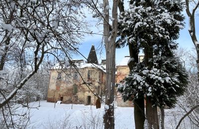 Schloss kaufen Komorowice, Wrocławska 27, Niederschlesien, Foto 33/36