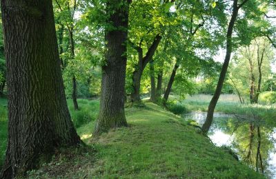 Schloss kaufen Komorowice, Wrocławska 27, Niederschlesien, Foto 15/36