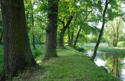 Slott till salu Komorowice, Wrocławska 27, województwo dolnośląskie:  