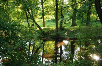 Kasteel te koop Komorowice, Wrocławska 27, województwo dolnośląskie:  