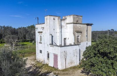 Lantligt hus till salu Oria, Puglia:  Utsikt utifrån