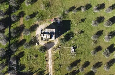 Landhaus kaufen Oria, Apulien, Foto 26/26