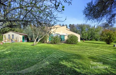 Landhaus kaufen Castagneto Carducci, Toskana:  RIF 3057 Haus und Terrasse