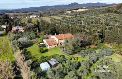 Landhuis te koop Castagneto Carducci, Toscane:  RIF 3057 Blick auf Anwesen und Umgebung