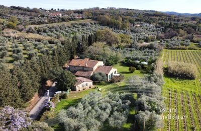 Landhus købe Castagneto Carducci, Toscana:  RIF 3057 Ansicht