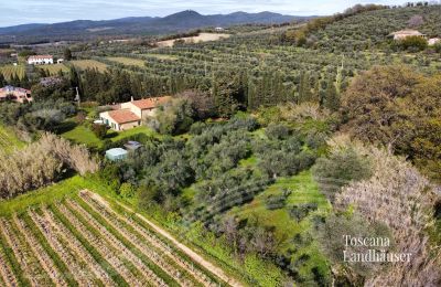 Landhus købe Castagneto Carducci, Toscana:  RIf 3057 Anwesen und Olivenbäume