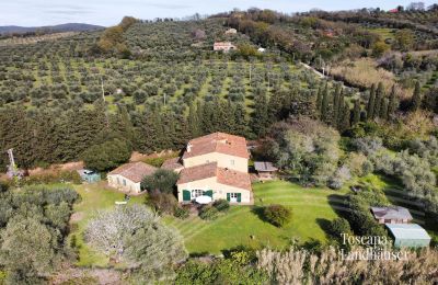 Landhuis te koop Castagneto Carducci, Toscane:  RIF 3057 Haus und Oliven