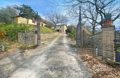 Bauernhaus kaufen Marciano della Chiana, Toskana:  RIF 3055 Zufahrtstor