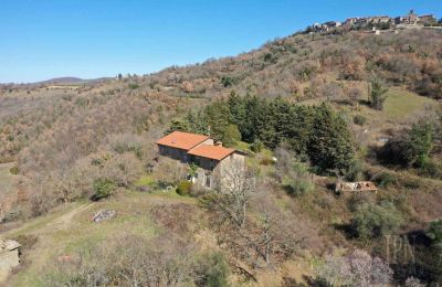 Lantligt hus till salu 06019 Preggio, Umbria:  