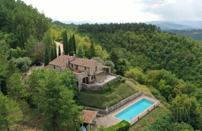 Landsted til salgs 06026 Pietralunga, Umbria, Bilde 2/28