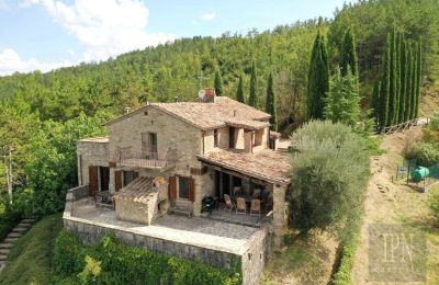 Landsted til salgs 06026 Pietralunga, Umbria, Bilde 25/28