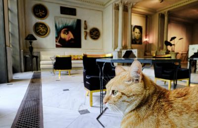 Historische Villa kaufen İstanbul, Tom Tom, Nur-i Ziya Sokak, Foto 6/33