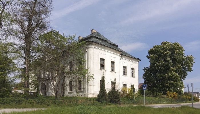 Schloss Pisarzowice 3