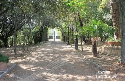 Historisk villa købe Foiano della Chiana, Toscana:  Indkørsel