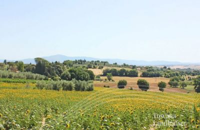 Historisk villa købe Foiano della Chiana, Toscana:  Udsigt