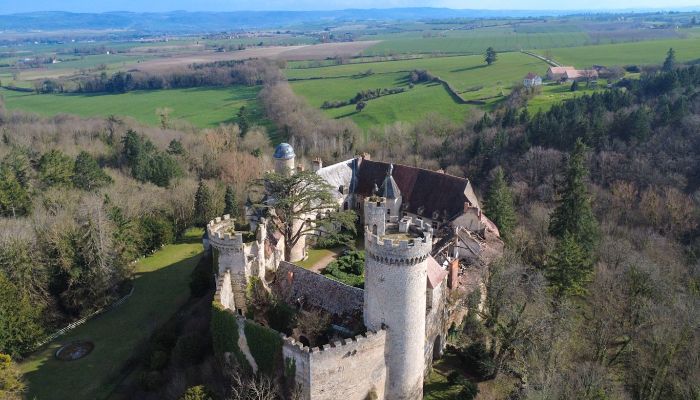 Slot til salg Veauce, Auvergne-Rhône-Alpes,  Frankrig
