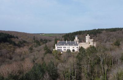 Slott til salgs Veauce, Auvergne-Rhône-Alpes:  