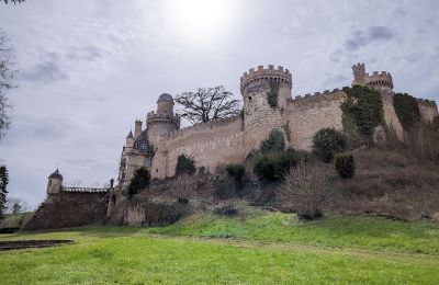 Slot til salg Veauce, Auvergne-Rhône-Alpes, Billede 3/10