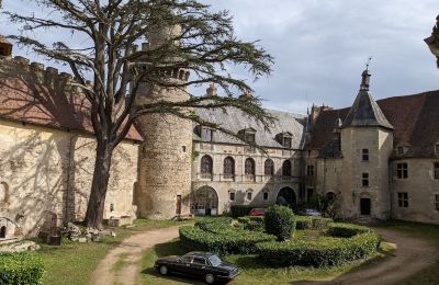 Slot til salg Veauce, Auvergne-Rhône-Alpes, Billede 4/10