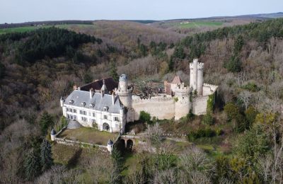 Slot til salg Veauce, Auvergne-Rhône-Alpes, Dronefoto