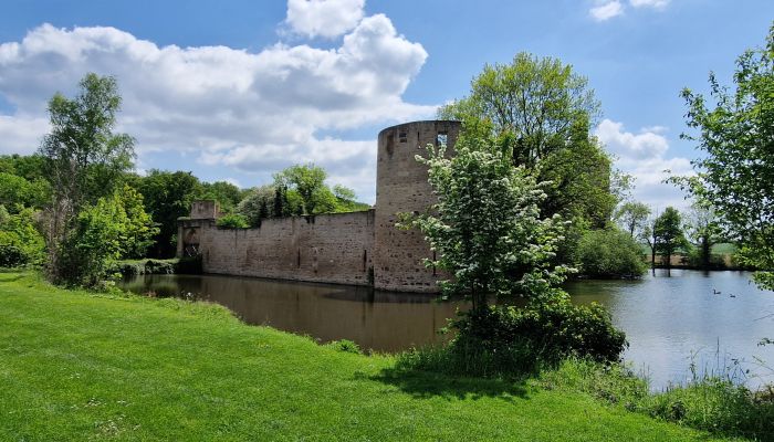 Burg Wißkirchen 5