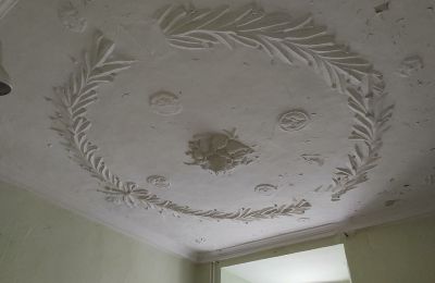 Slott til salgs 04600 Altenburg, Thüringen,, Ansicht