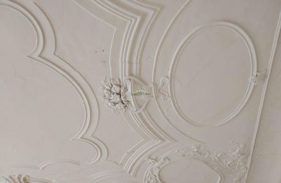 Slott til salgs 04600 Altenburg, Thüringen,, Stukkdekorasjon