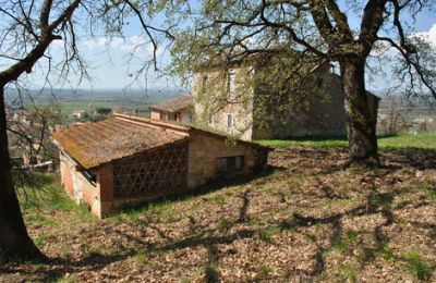 Bauernhaus kaufen Siena, Toskana:  RIF 3071 Blick auf Rustico