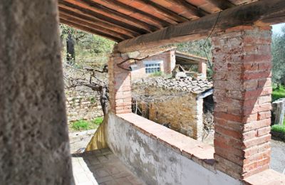 Bauernhaus kaufen Siena, Toskana:  RIF 3071 Pergola