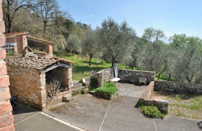 Bauernhaus kaufen Siena, Toskana:  RIF 3071 Terrasse