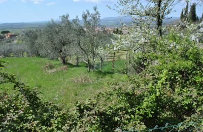 Bauernhaus kaufen Siena, Toskana:  RIF 3071 Garten