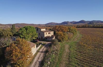 Landhaus kaufen Gaiole in Chianti, Toskana:  RIF 3073 Anwesen und Zufahrt