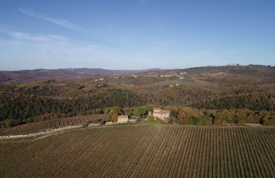 Landhaus kaufen Gaiole in Chianti, Toskana:  RIF 3073 Umgebung