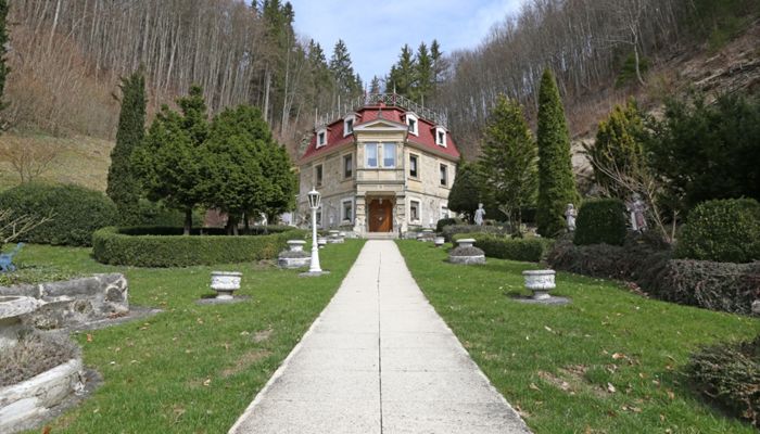 Historisk villa Bad Urach 3