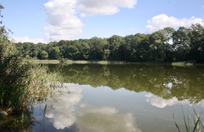 Herregård til salg 18249 Lübzin, Mecklenburg-Vorpommern, Billede 9/12