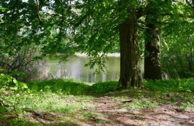 Herregård til salg 18249 Lübzin, Mecklenburg-Vorpommern, Billede 7/12