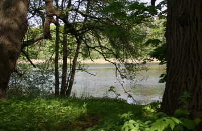 Herregård til salg 18249 Lübzin, Mecklenburg-Vorpommern, Billede 8/12