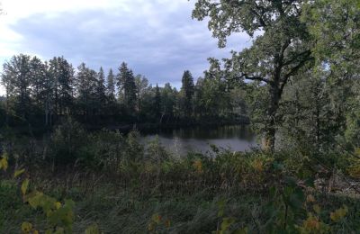 Herrenhaus/Gutshaus kaufen Nogale, Kurland, Foto 8/20