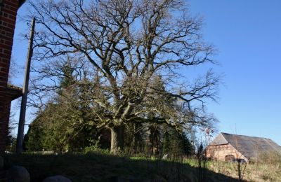 Herrenhaus/Gutshaus kaufen 17166 Niendorf, Mecklenburg-Vorpommern, Foto 9/14