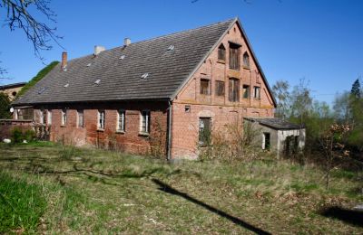 Herrenhaus/Gutshaus kaufen 17166 Niendorf, Mecklenburg-Vorpommern, Foto 6/14