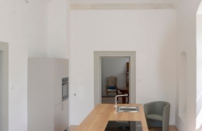 Slott til salg 91792 Ellingen, An der Vogtei 2, Bayern, Küche