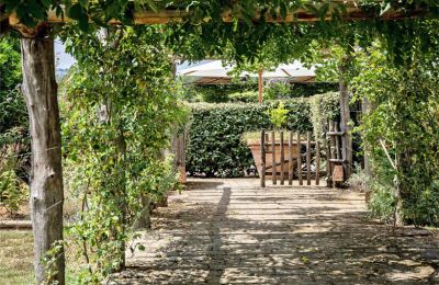 Landhaus kaufen Manciano, Toskana:  RIF 3084 Pergola