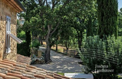 Landhus købe Manciano, Toscana:  RIF 3084 Hofeinfahrt
